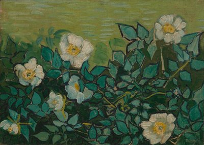 Wild Roses by Vincent van Gogh